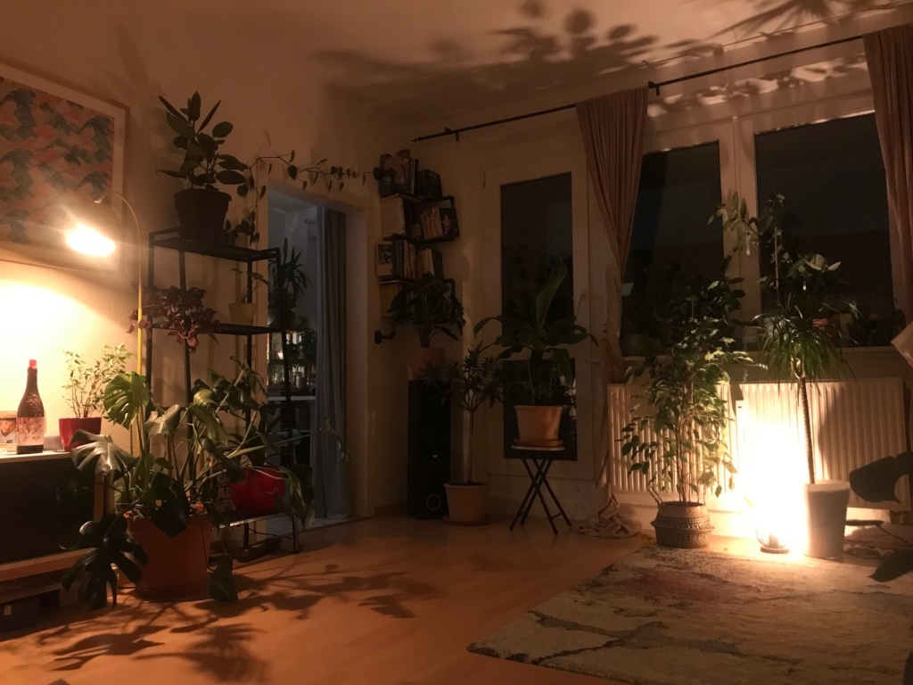 Apartamento Friedrichshain Pintschstraße - Living room