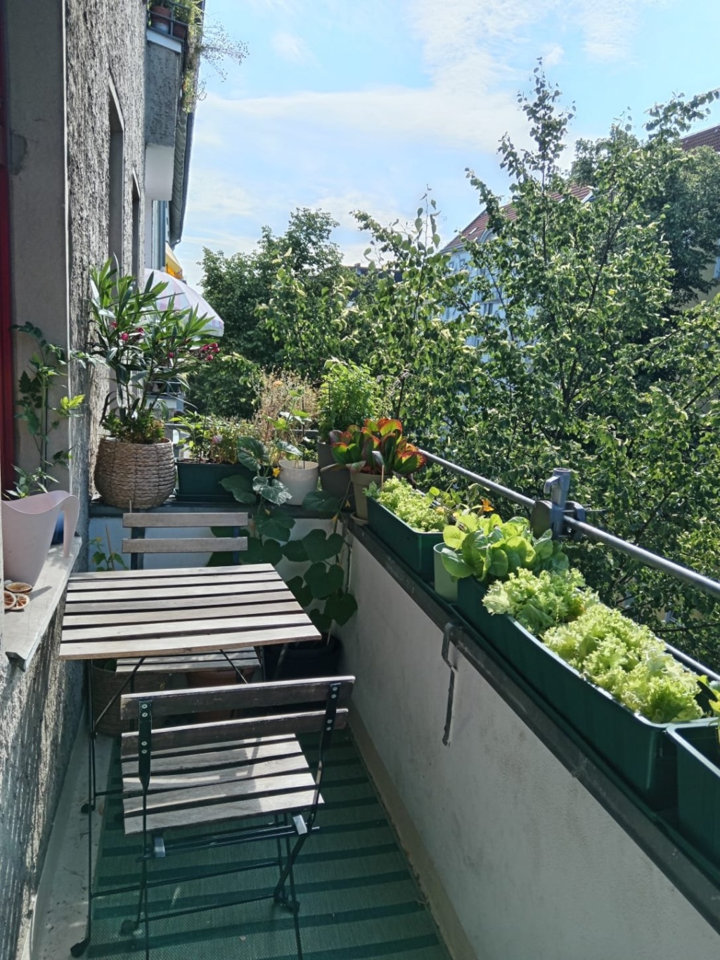 Wohnung Neukölln Emser Straße - Bild 3