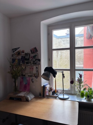 Anzeigenbild: Ein Zimmer Wohnung Regensburger Altstadt