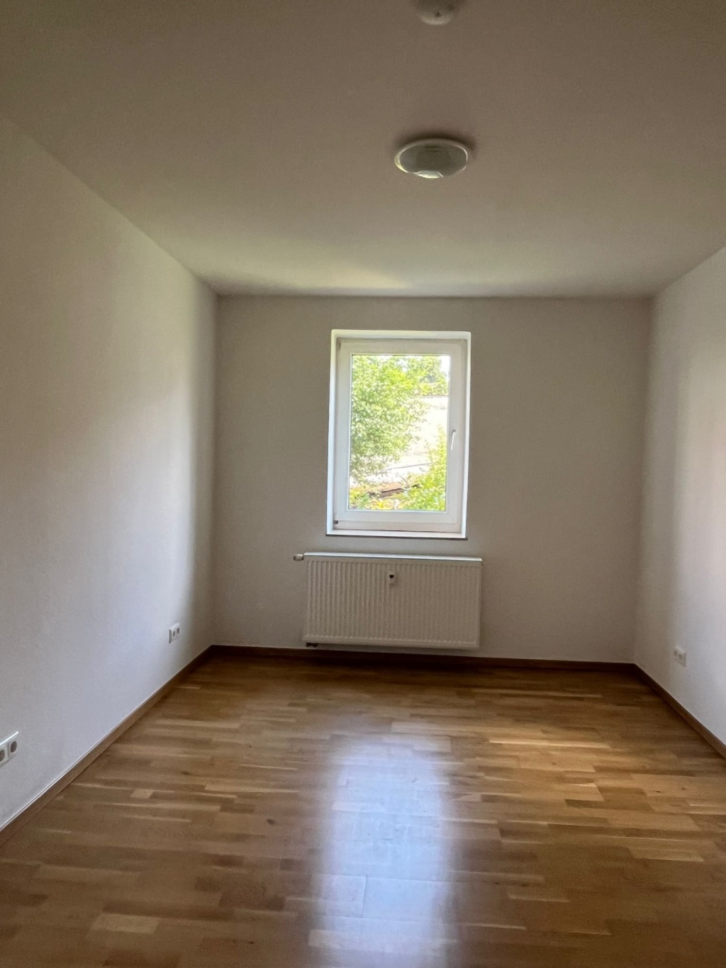 Moderne 2 ZKB-Wohnung für Studenten – Fiedlerstraße 46, 34127 Kassel Nord-Holland – Vorschaubild 7