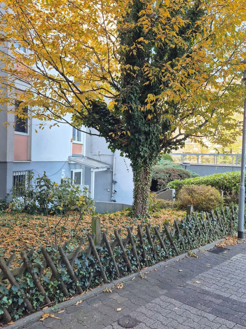 Apartment - Zentral in der Mainzer Altstadt - "Wohnen auf Zeit" – Hintere Christofsgasse 5, 55116 Mainz Altstadt – Vorschaubild 11
