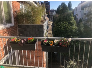Imagen del anuncio: Charmante 1-Zimmer-Wohnung mit sonnigem Balkon zum Innenhof
