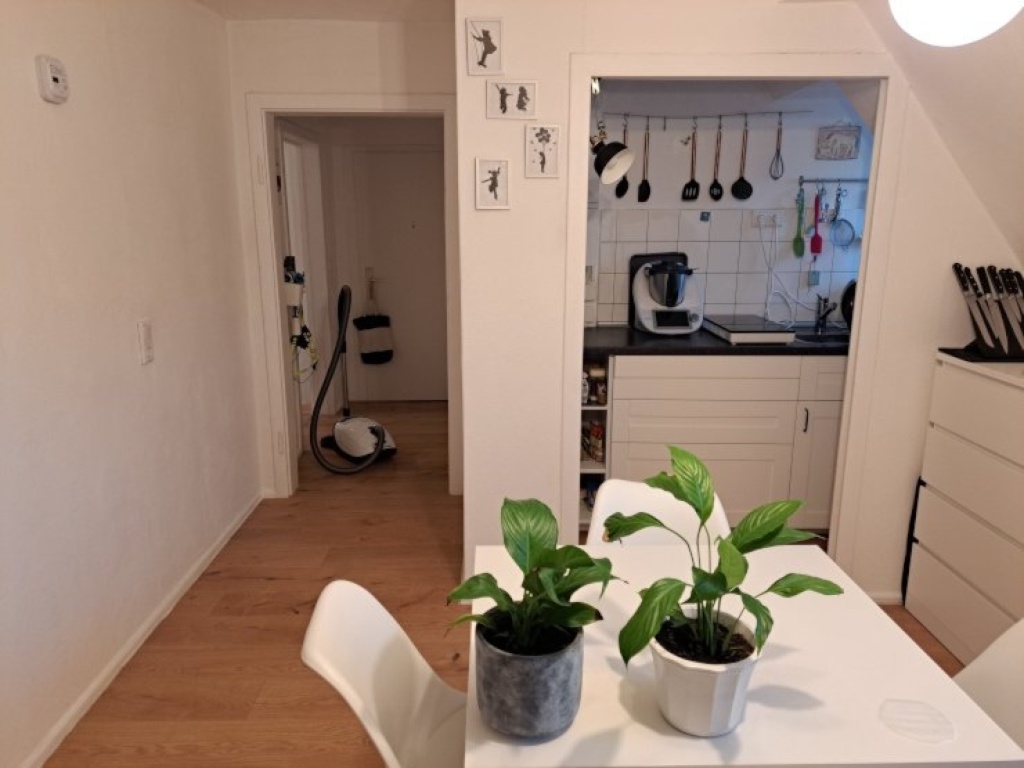 3 Zimmer // Münster-Süd // Dezember 2026-Februar 2027 – 48151 Münster Geist – Vorschaubild 2