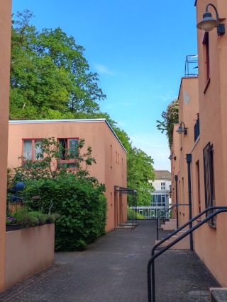 Anzeigenbild: 36 m2 großes, helles Zimmer in entspannter 4er-WG in Alt-Saarbrücken