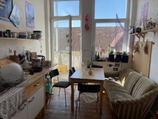 Anzeigenbild: Sonnendurchflutete Altbau-FLINTA* WG