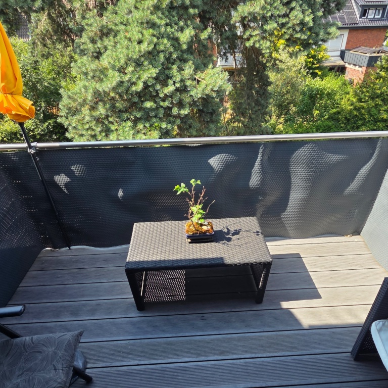 Habitación en WG Münster Mauritz Propsteistraße - Balkon