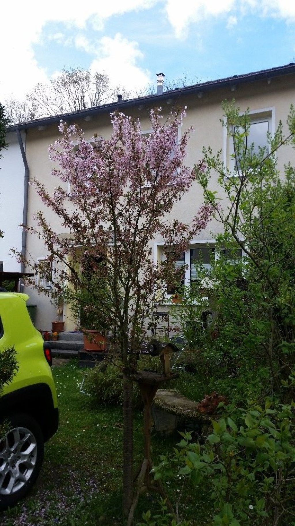 Beautiful apartment in house-sharing community Bonn-Venusberg to a single female person – Eibenweg, 53127 Bonn Venusberg – Vorschaubild 2