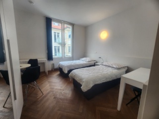 Anzeigenbild: schöne vollmöblierte  Doppelbett 1-Zimmer Wohnung mit Einbauküche und großem Duschbad im Stadtzentrum