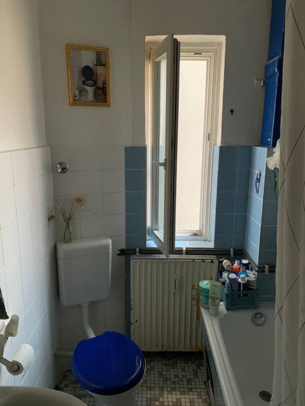 WG-Zimmer Alte Neustadt Donaustraße - Bad