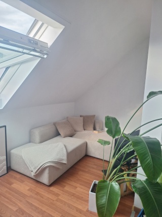Anzeigenbild: Möblierte Wohnung zur Zwischenmiete, 1.9. - 20.12., Landau zentrumsnah
