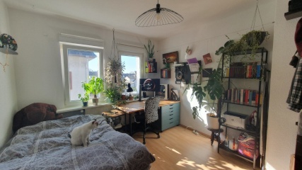 Anzeigenbild