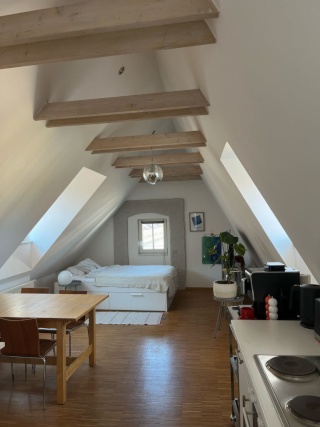 Anzeigenbild: 1-Zimmer-Wohnung für Studis im Herzen Regenburgs!