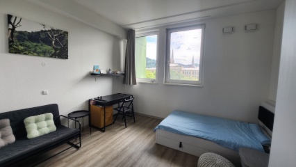 Ad image: Möblierte 1-Zimmer-Wohnung zur Zwischenmiete (23.07.–26.09.) in der Innenstadt