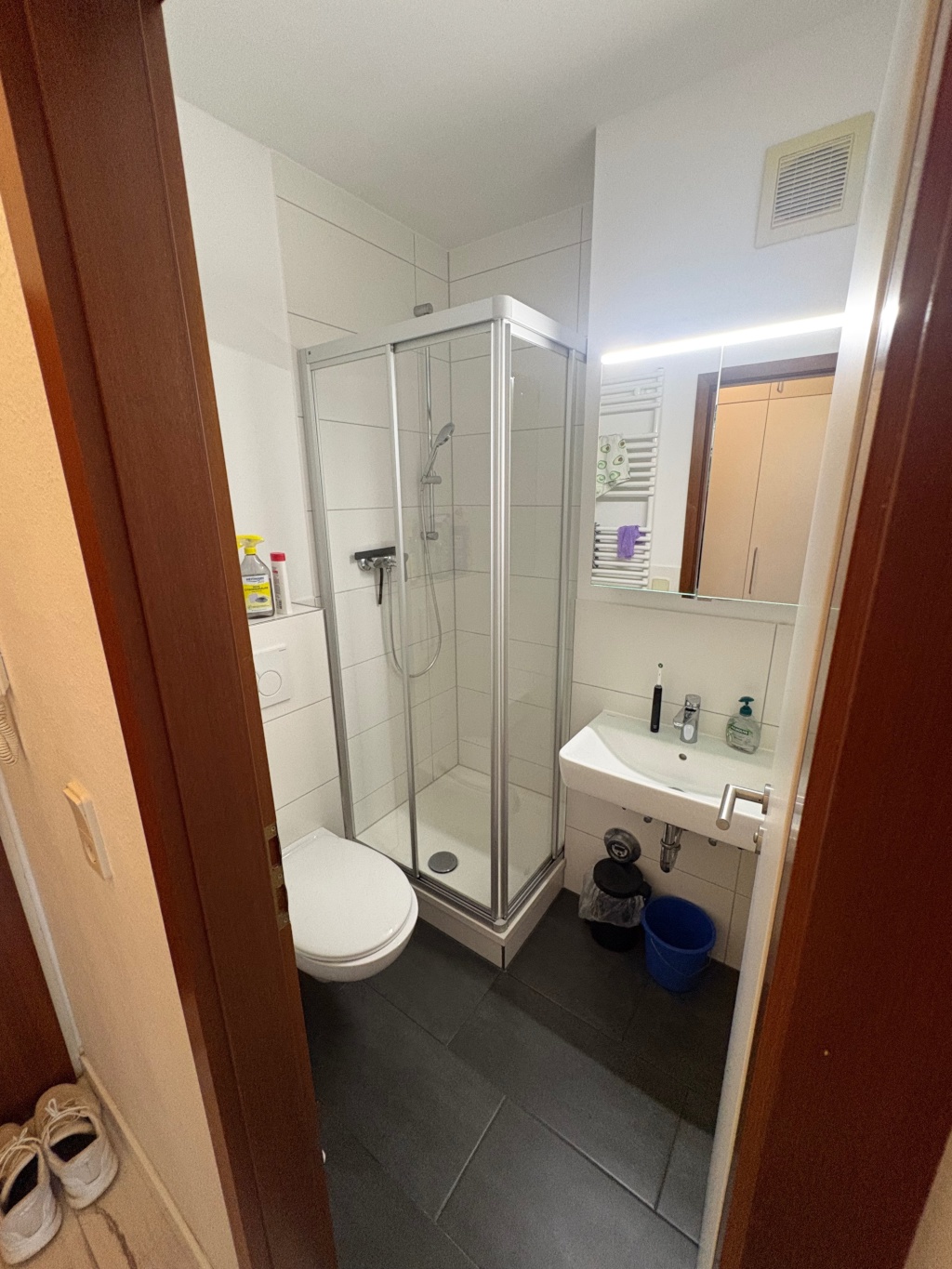 Saniertes, ruhiges 1-Zimmer-Apartment mit TG-Stellplatz — Uni-nah, Bonn-Auerberg, perfekt für Studenten! – Kölnstraße, 53117 Bonn Auerberg – Vorschaubild 3