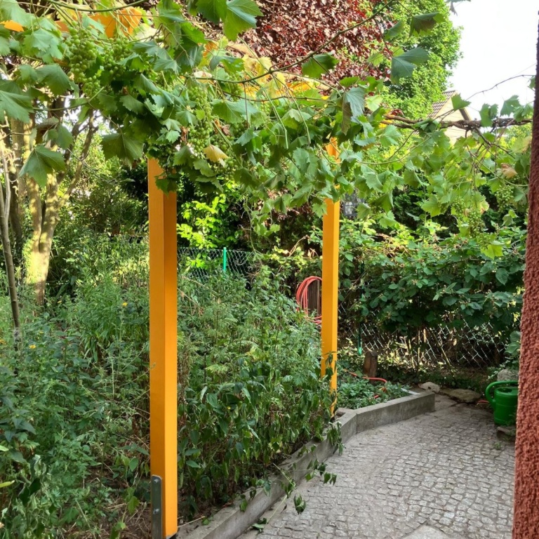 Wohnung Pankow Lessingstraße 41 - Terrasse