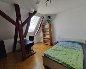 Anzeigenbild: 4er WG in der Alten Neustadt sucht Verstärkung