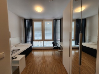 Anzeigenbild: schöne vollmöblierte 1-Zimmer Whg. mit Einbauküche im Stadtzentrum