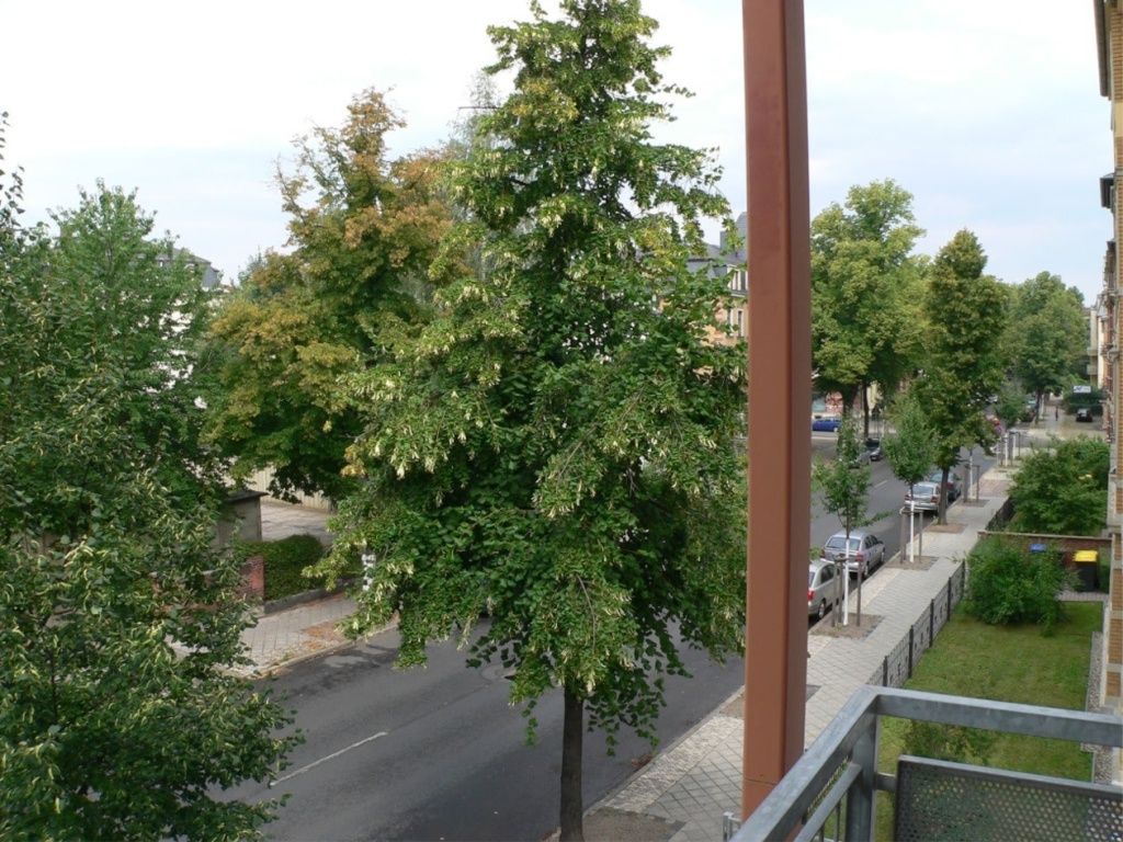 Wohnen in Löbtau Süd – Reisewitzer Straße 71, 1159 Dresden Cotta – Vorschaubild 10