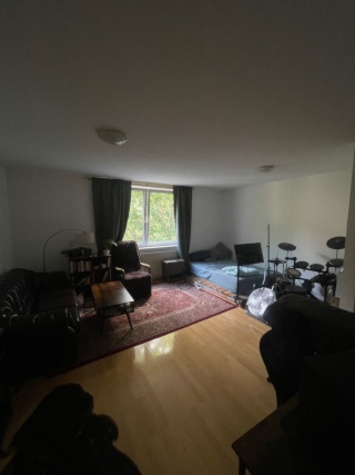 Anzeigenbild: Ein Zimmer-Wohnung zur vermieten für den ganzen August