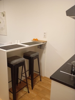 Möblierte 1-Zimmer-Wohnung, 20 m², Brigittenau, Brigittenau