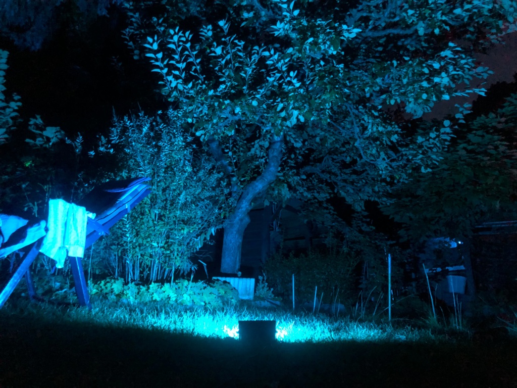 Flatshare Spandau Kladow Otto-von-Wollank-Straße - Garten Ansicht 3