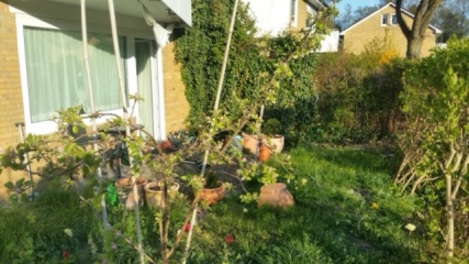 Imagen del anuncio: St.Jürgen Möbl.Uni-nahe 39qm EG-Whg, Terrasse + kl.Garten + sep.Kellerraum