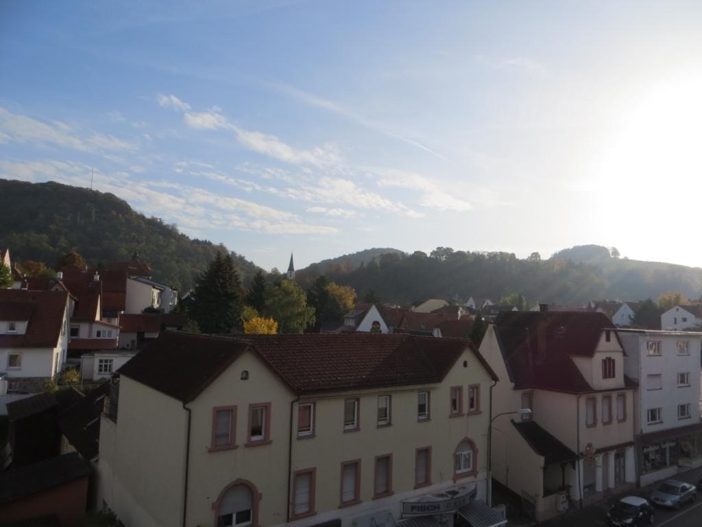 Flatshare Auerbach Darmstädter Str.198 - picture 2