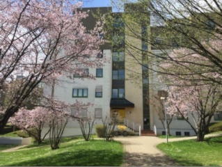 Anzeigenbild: Helles und gemütliches WG-Zimmer (11 m2) in ruhiger Lage in Tübingen-WHO