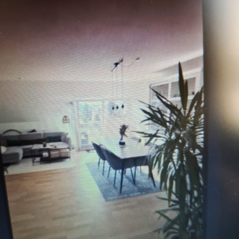 Flat Homburg An der Farrwiese 8 - Wohn-Esszimmer