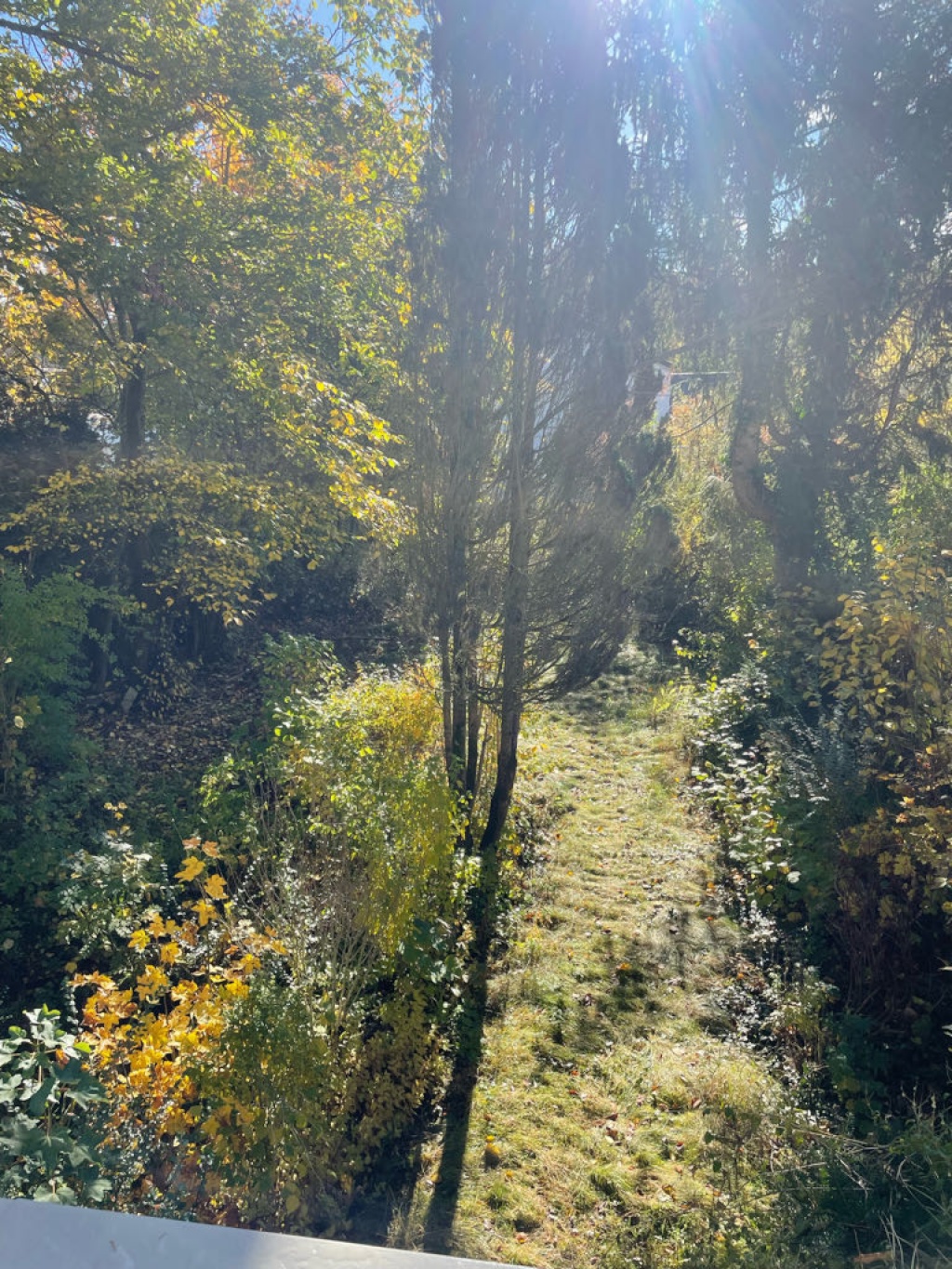 WG-Zimmer Obergiesing-Fasangarten Fasangartenstraße - Bild 3