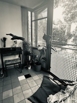 Anzeigenbild