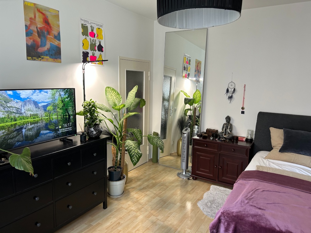 Helle 1-Zimmer-Wohnung am Mauerpark zur Zwischenmiete (5 Wochen ab 24.09.) – Gleimstraße 66, 13355 Berlin Berlin – Vorschaubild 3