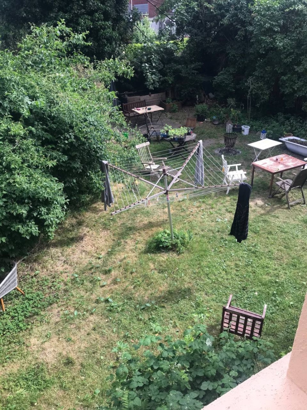 WG-Zimmer Schlachthofviertel Eckenerstraße 16 - Hintergarten