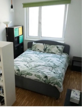 **Short-term Subletting Furnished Apartment in Wedding** — photo 1
