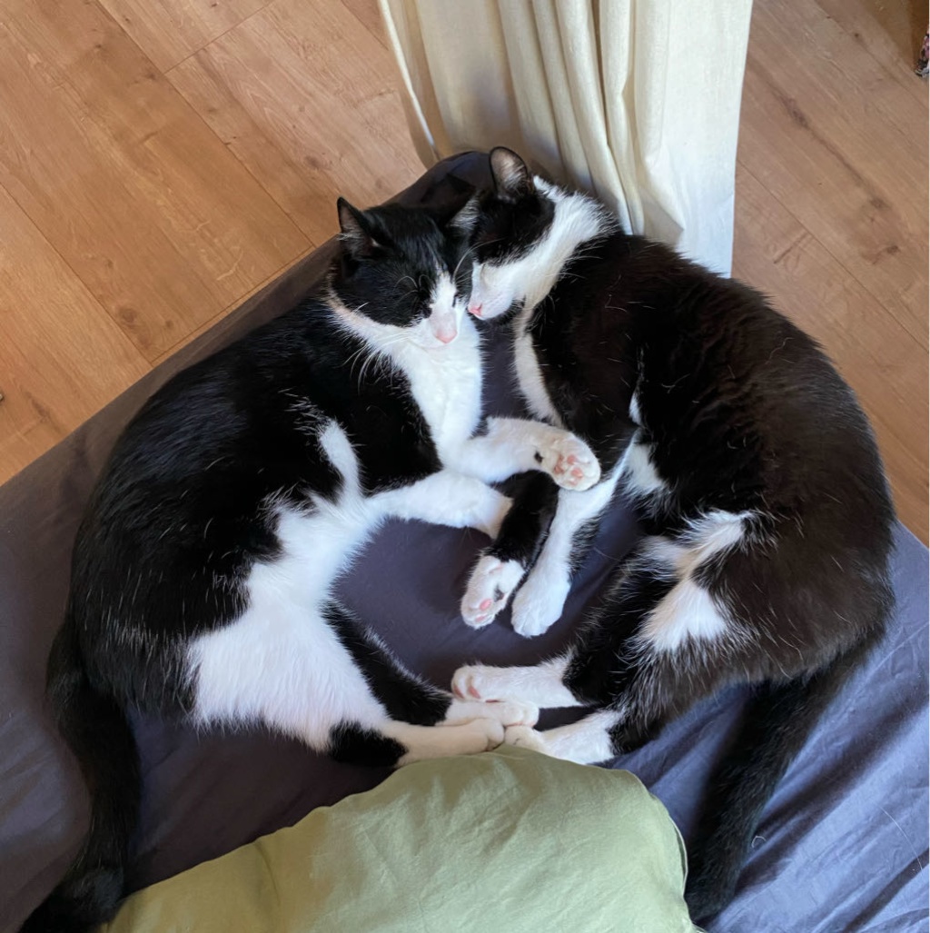 WG-Zimmer Plagwitz Gießerstraße - Helge und Herbert :))