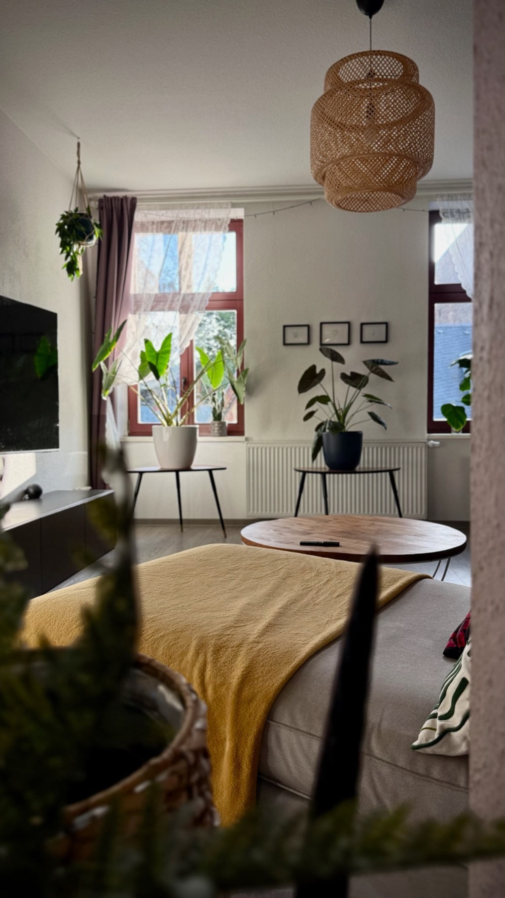 Liebevoll eingerichtete 2-Zimmer-Wohnung in Magdeburg-Sudenburg – Braunschweiger Straße, 39112 Magdeburg Sudenburg – Vorschaubild 2