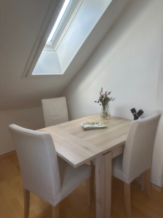 2,5-Zimmer Wohnung in Stuttgart-Vaihingen, 45 qm für Einzelperson