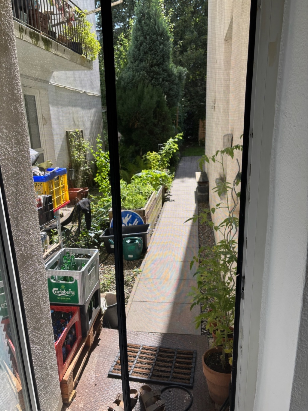 Altbauwohnung im Herzen von Eimsbüttel mit kleinem Garten – Rellinger Straße, 20257 Hamburg Eimsbüttel – Vorschaubild 13