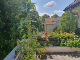 Helle, möblierte 2-Zimmer-Wohnung mit sonniger Dachterrasse im Grünen zur Zwischenmiete für 1 bis 3 Jahre, Lichterfelde- — photo 1