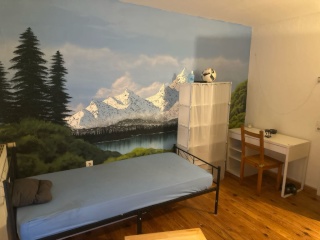 Ad image: 2Zimmer frei 620€ , oder einzel für 420€ (Katzenhaushalt )