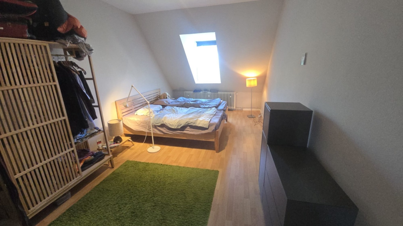 Traumwohnung zur Untermiete für 1 Jahr. Im Herzen von Wiesbaden – Dotzheimer Str. 54, 65197 Wiesbaden Wiesbaden – Vorschaubild 8