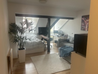 Anzeigenbild: Moderne 1 Zimmer Wohnung in zentraler Lage Luitpoldstraße 18 (3 Minuten zur Uni)