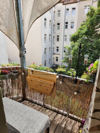 4-Zimmerwohnung mit grünem Südbalkon
