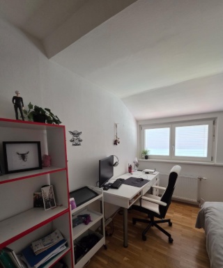 Anzeigenbild: Zimmer in Mädels-WG in Grazer Innenstadt frei