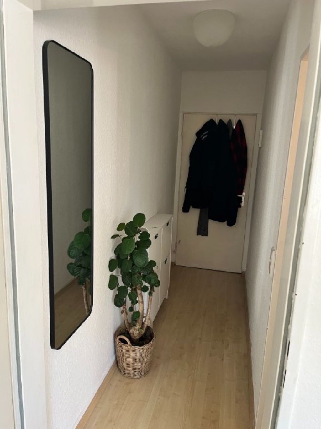 30qm 1-Zimmerwohnung in Sülz zur dreimonatigen Untermiete – Rennebergstraße, 50939 Köln Sülz – Vorschaubild 3