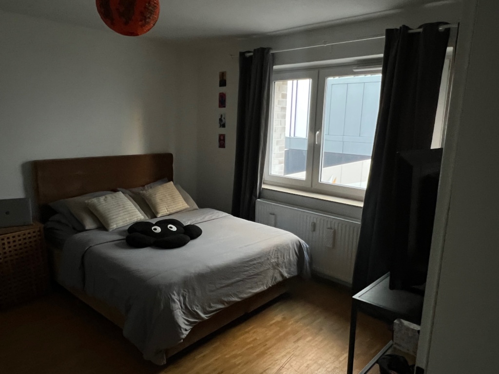 möblierte 2-Zimmerwohnung in Altona ab 01.09.26 (3Monate) – Lawaetzweg, 22765 Hamburg Altona-Altstadt – Vorschaubild 9