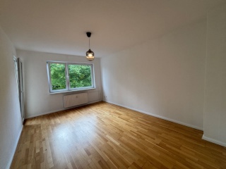 Freshly renovated 2 rooms flat in Neukölln to rent fully or as WG long term — photo 1