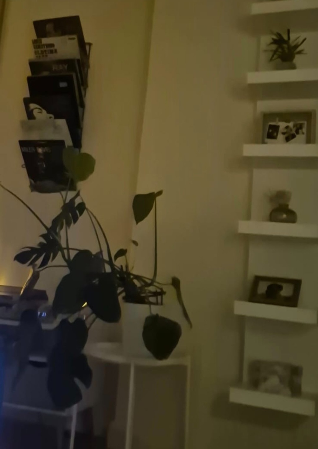 Gemütliche 2 Zimmerwohnung im begehrten Stadtteil – Musterstraße 6, 34119 Kassel West – Vorschaubild 3
