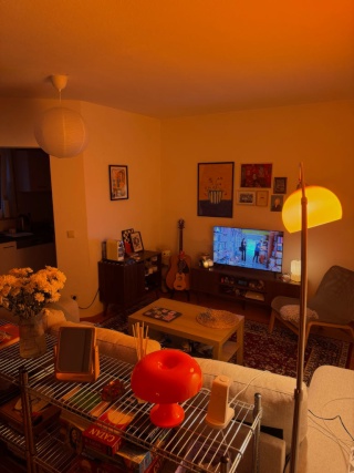 Gemütliche möblierte 2-Zimmer-Wohnung zur Untermiete in Leipzig Südvorstadt