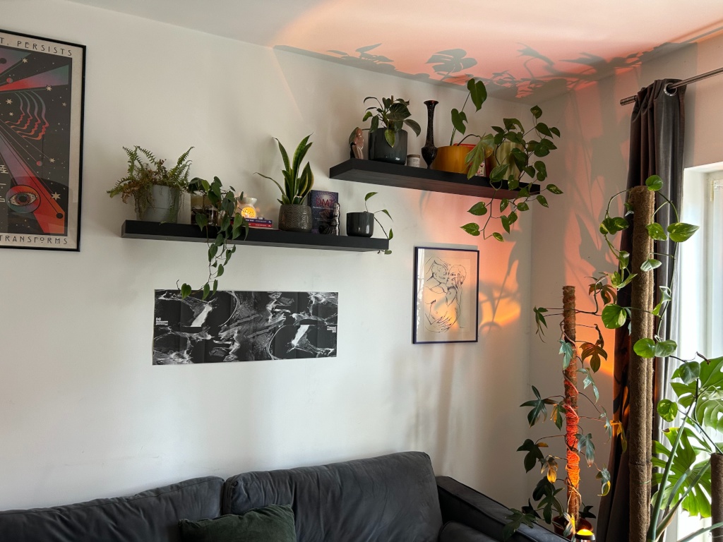 Helle 1-Zimmer-Wohnung am Mauerpark zur Zwischenmiete (5 Wochen ab 24.09.) – Gleimstraße 66, 13355 Berlin Berlin – Vorschaubild 5